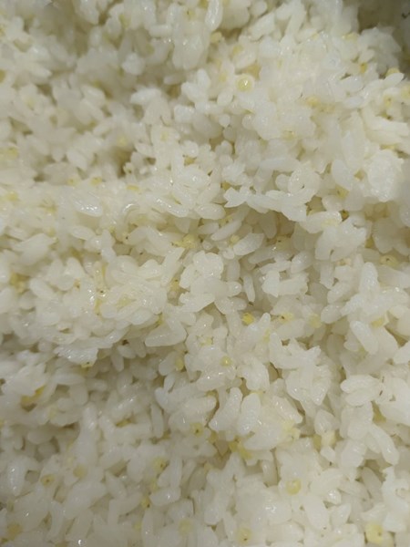 午餐--健康小米飯