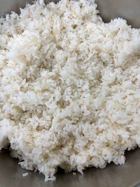 午餐--營養糙米飯