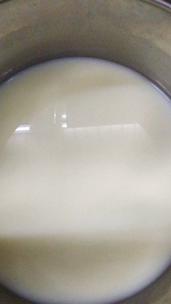 早點--牛奶