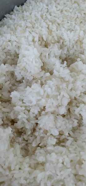 午餐--營養糙米飯