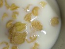午點--牛奶+穀類脆片