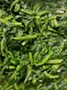 季節時蔬