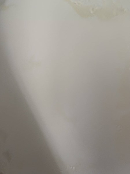 午點--豆漿