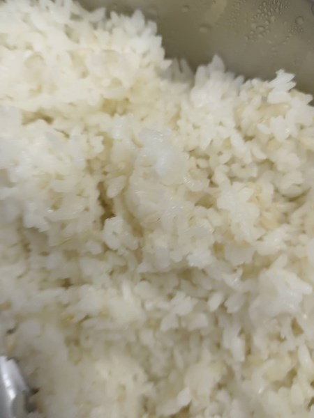 午餐--營養糙米飯