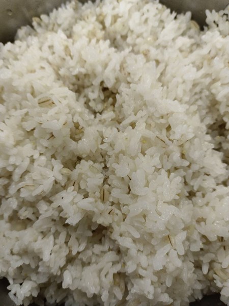 午餐--高纖麥片飯