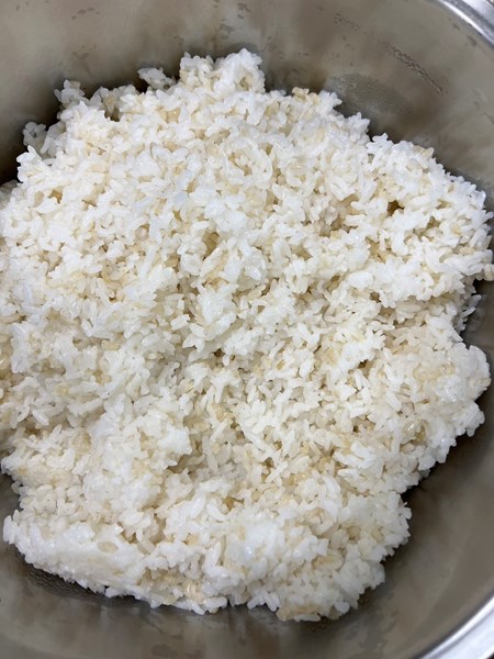 午餐--營養糙米飯