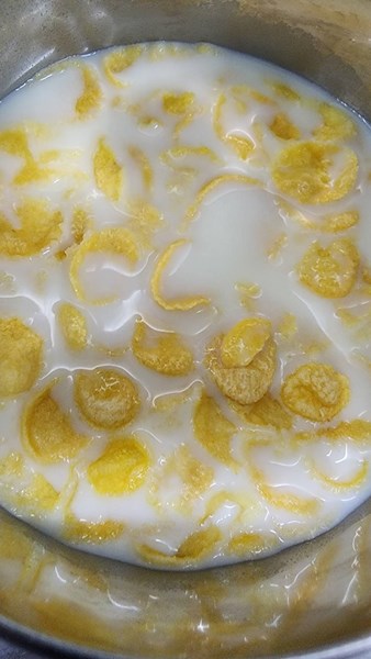 早點－穀類脆片＋牛奶
