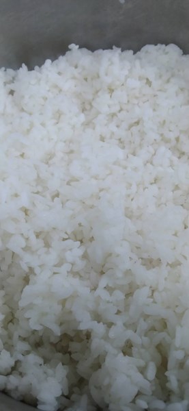午餐--香Q白米飯