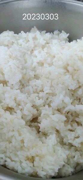 午餐--營養糙米飯