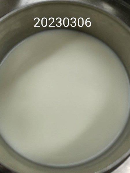 午點--牛奶