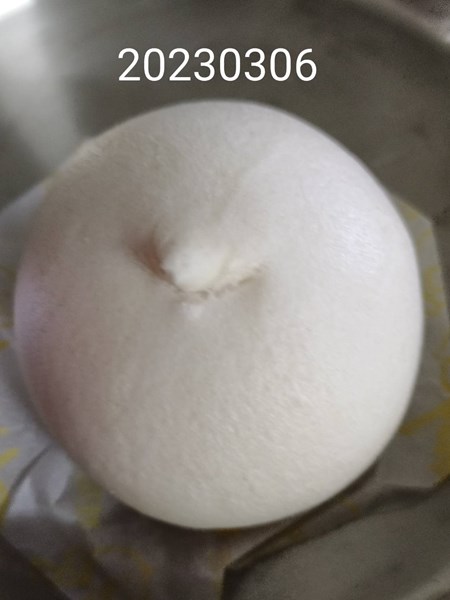 午點--奶黃包