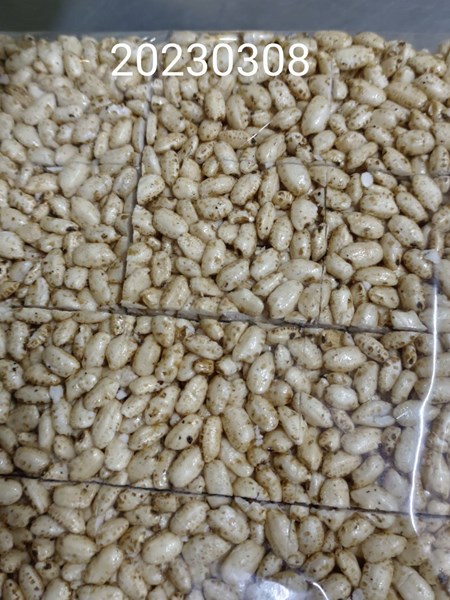 午點--糙米香