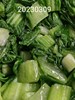 午餐--季節時蔬