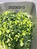 午餐--季節時蔬