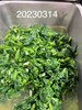 午餐--季節時蔬