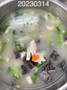 早點--薑絲米血肉片湯