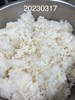 午餐--營養糙米飯