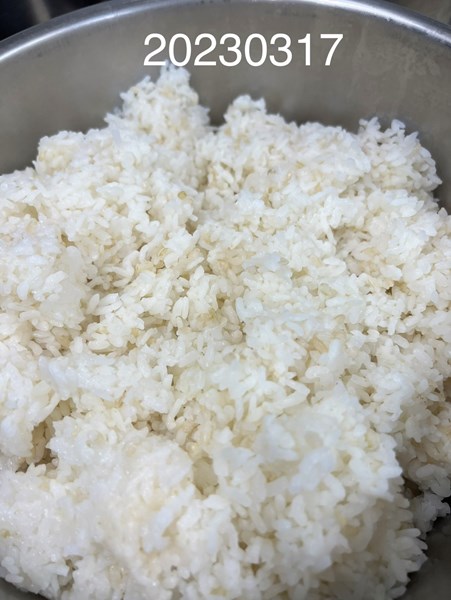 午餐--營養糙米飯