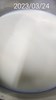 午點--牛奶