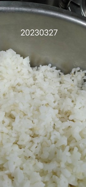 午餐--營養糙米飯
