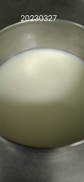 午點--牛奶