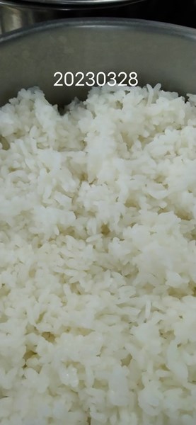 午餐--香Q白米飯