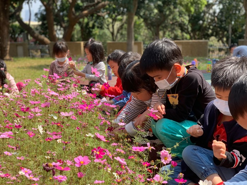 準備來押花