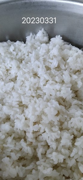 午餐--小薏仁飯
