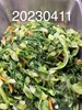 午餐--季節時蔬