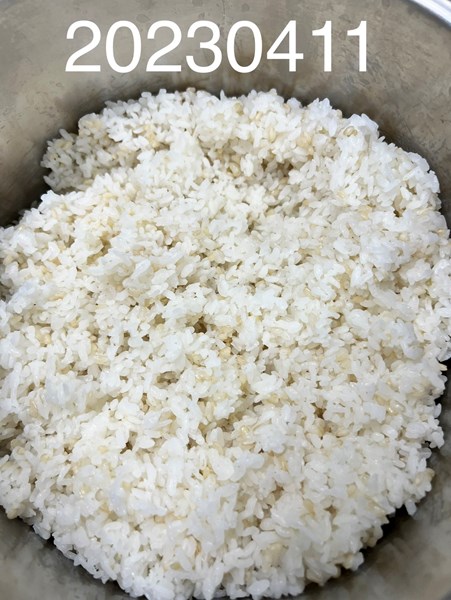 午餐--營養糙米飯