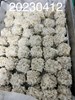 午點--珍珠丸子