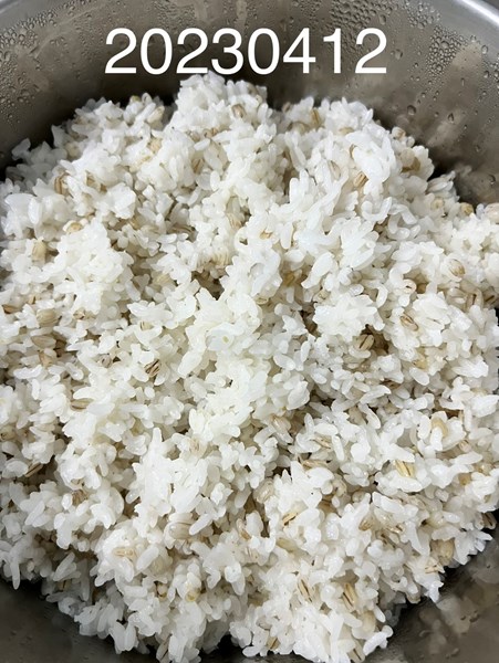 午餐--小薏仁飯