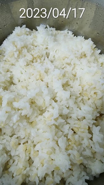 午餐--營養糙米飯