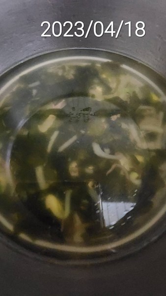 午餐--營養雙芽湯