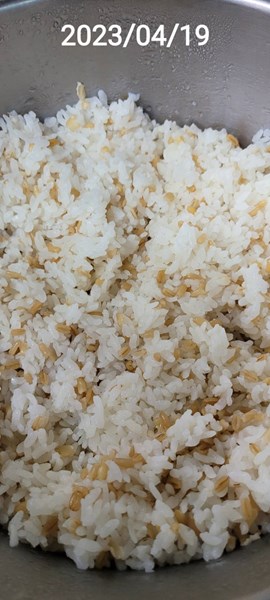午餐--燕麥飯