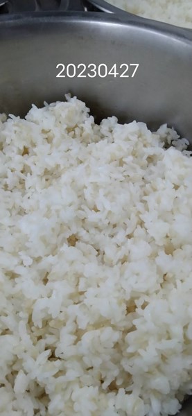 午餐--營養糙米飯