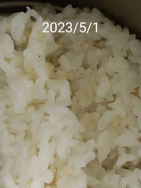 午餐--營養糙米飯