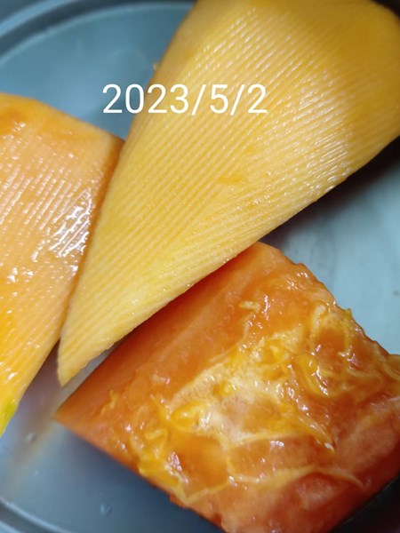 午餐--四季水果