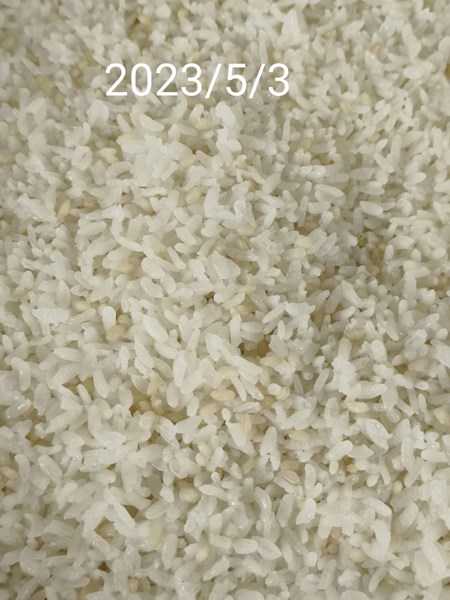 午餐--營養糙米飯