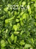 午餐--季節時蔬