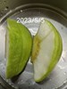 午餐--四季水果