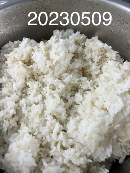 午餐--營養糙米飯