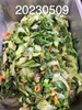 午餐--季節時蔬