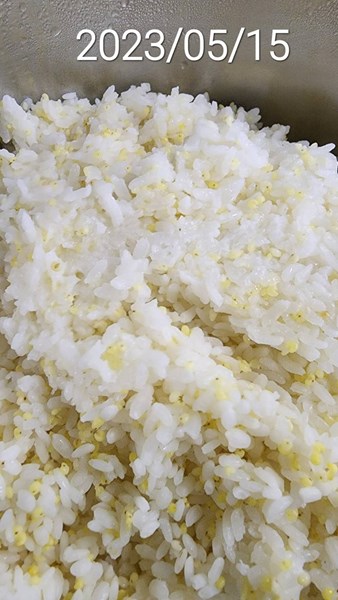 午餐--健康小米飯
