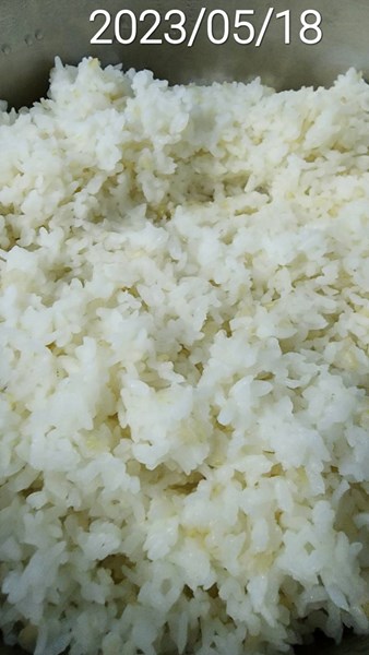 午餐--營養糙米飯