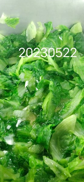 午餐--季節時蔬