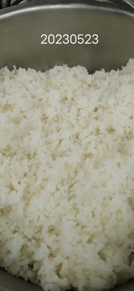 午餐--營養糙米飯