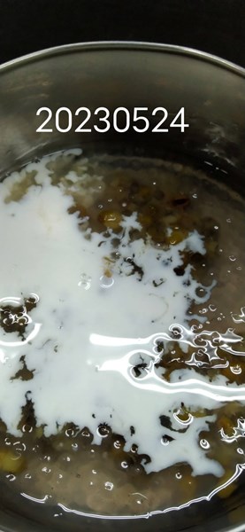 午點--鮮奶綠豆西米露
