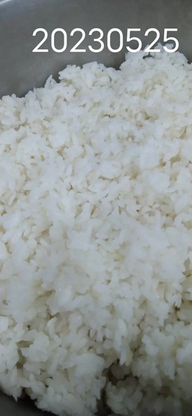 午餐--營養糙米飯