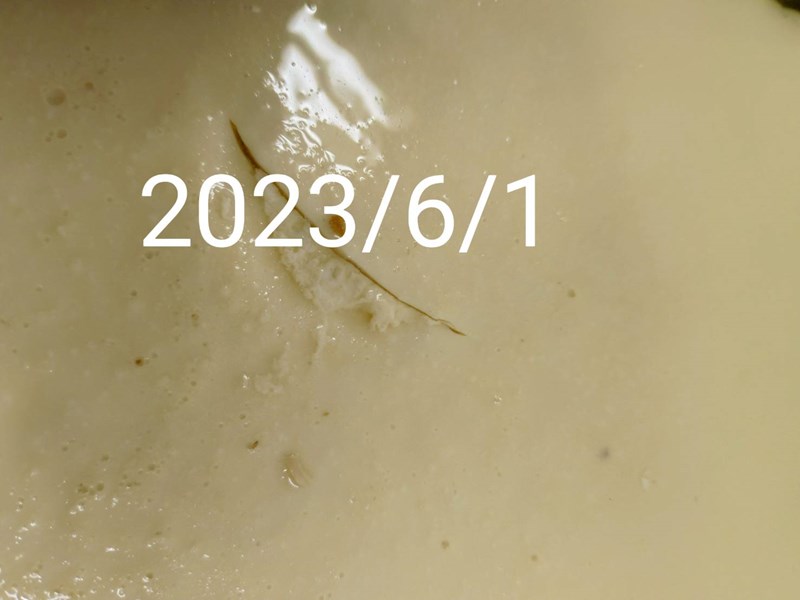午餐--古早味蒸蛋